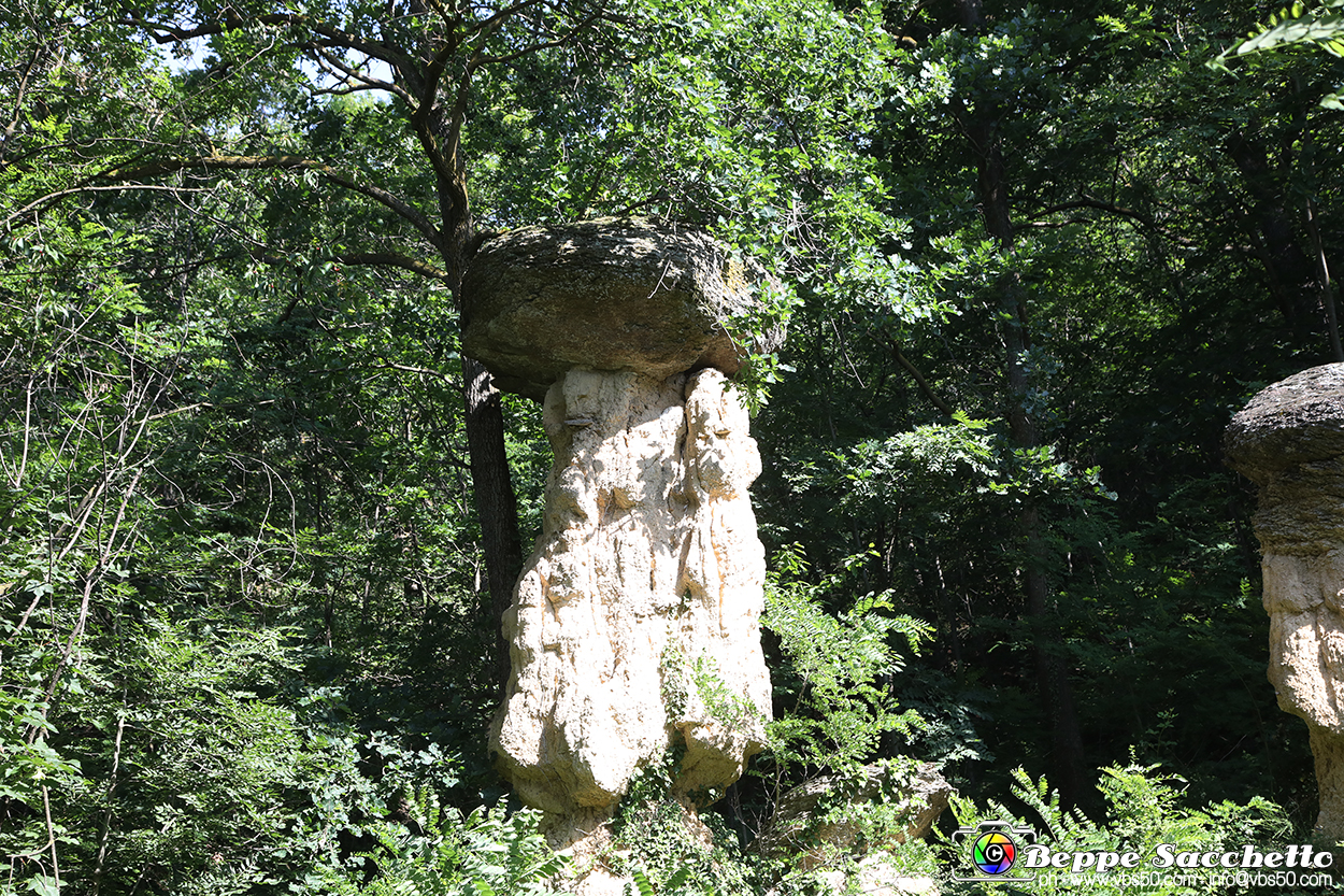 VBS_8928 - I Ciciu del Villar. Villar San Costanzo. Val Maira (Cuneo).jpg